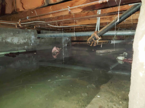 Best Water damage restoration specialists  in Sag Harbor, NY