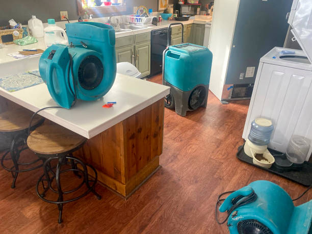 Best 24-hour water damage restoration  in Sag Harbor, NY