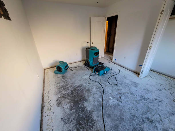 Best Carpet water damage restoration  in Sag Harbor, NY