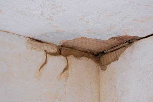 Best Local water damage restoration  in Sag Harbor, NY