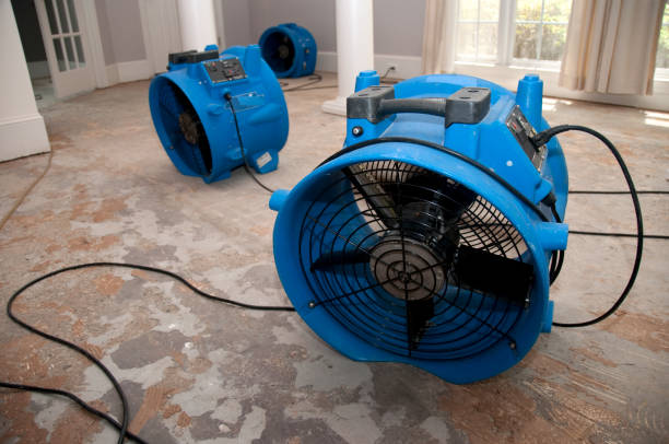 Best Commercial water damage restoration  in Sag Harbor, NY