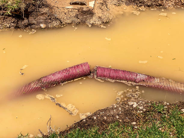 Best Water damage cleanup near me  in Sag Harbor, NY