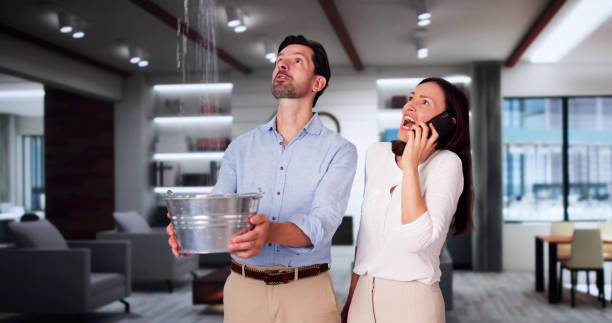 Best Water damage restoration insurance claims  in Sag Harbor, NY
